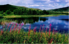 西乌珠穆沁旗的明信片：世外桃源般的草原